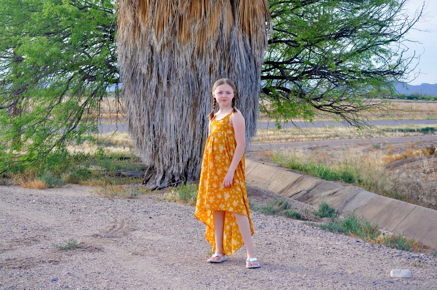 Abby's Rainbow Dress